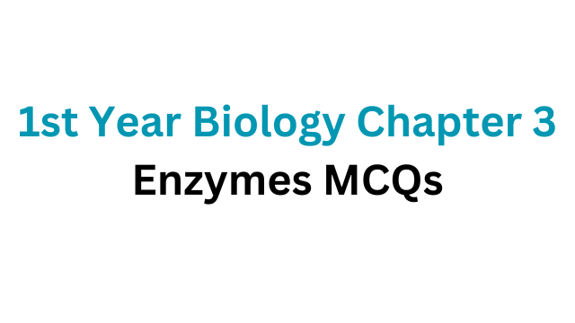 1st Year Biology Chapter 3 Enzymes MCQs - PAK MCQS