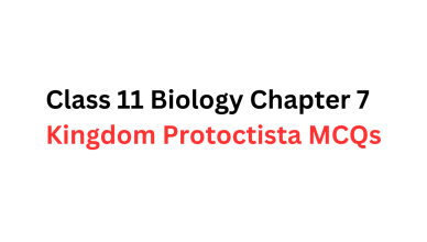 Class 11 Biology Chapter 7 MCQs Kingdom Protoctista MCQs